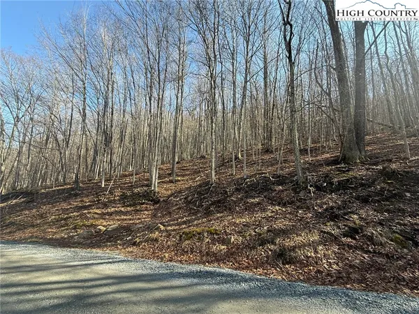 $24,000 | 134 Locust Ridge Road, Beech Mountain, NC 28604