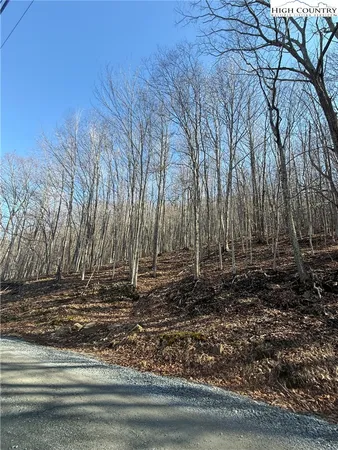 $24,000 | 134 Locust Ridge Road, Beech Mountain, NC 28604