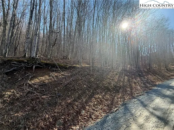 $24,000 | 134 Locust Ridge Road, Beech Mountain, NC 28604