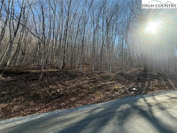 $24,000 | 134 Locust Ridge Road, Beech Mountain, NC 28604