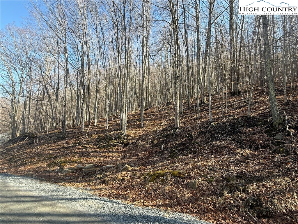 134 Locust Ridge Road Beech Mountain, NC 28604 - Photo 5 of 10