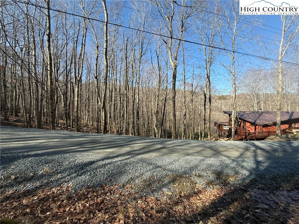 134 Locust Ridge Road Beech Mountain, NC 28604 - Photo 6 of 10