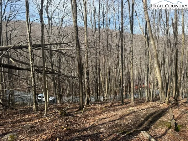 $24,000 | 134 Locust Ridge Road, Beech Mountain, NC 28604