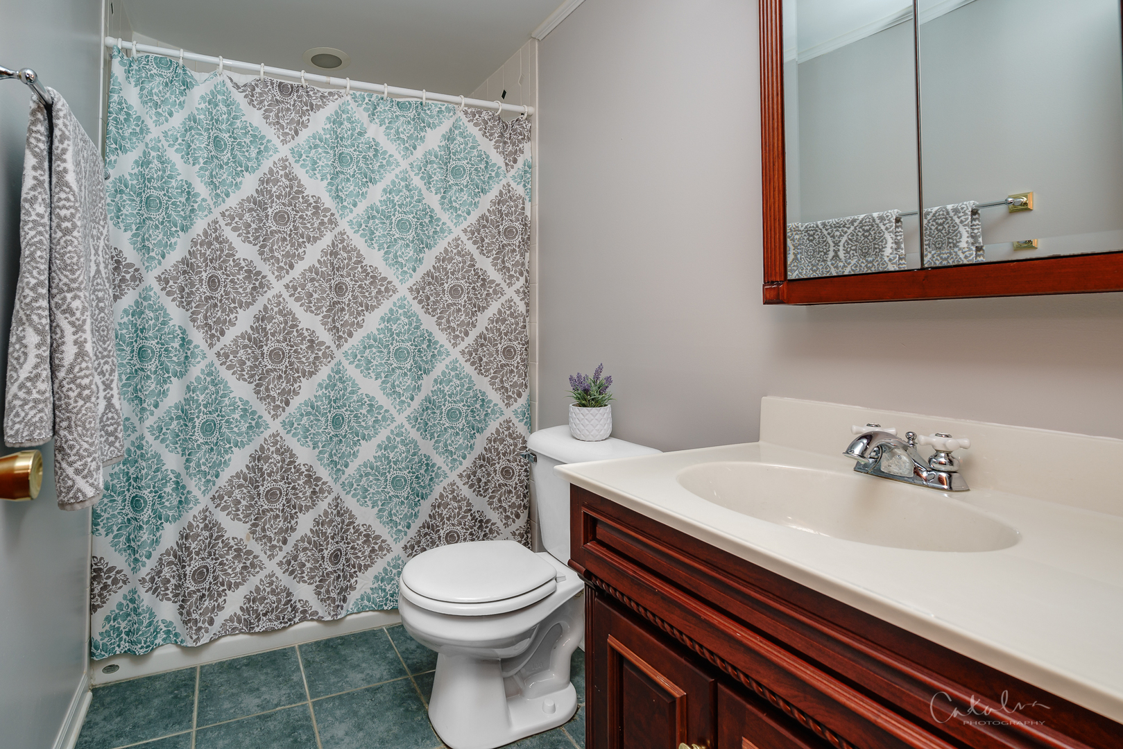 969 Manchester Street Cary, IL 60013 - Photo 24 of 25