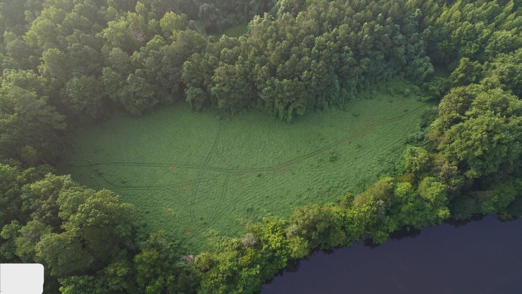 3809 Hall Road Rougemont, NC 27572 - Photo 13 of 16 Notice that it's in the shape of a heart. It's a sign! Clearing (both tracts)