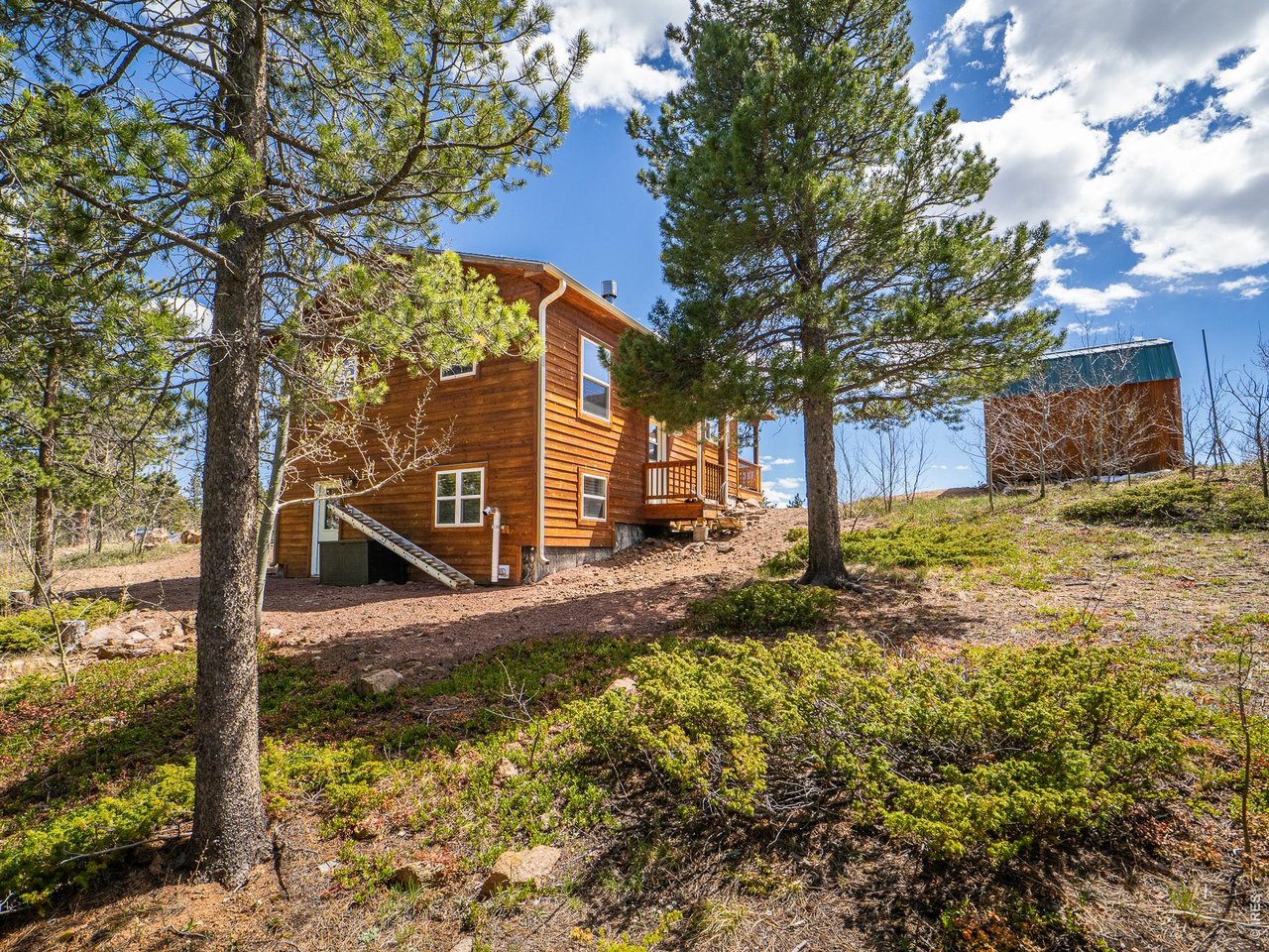 251 Huron Road Red Feather Lakes, CO 80545 - Photo 25 of 31