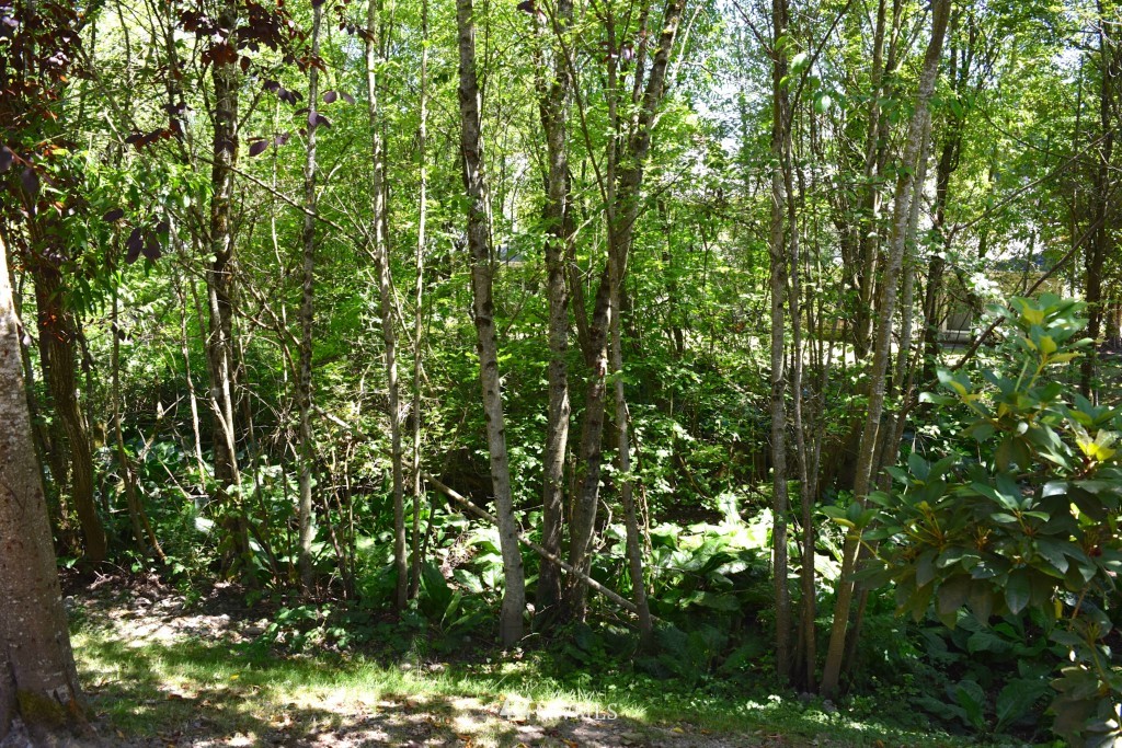 18910 Bothell Everett Highway, Unit H4 Bothell, WA 98012 - Photo 11 of 12 Gallery Image 11