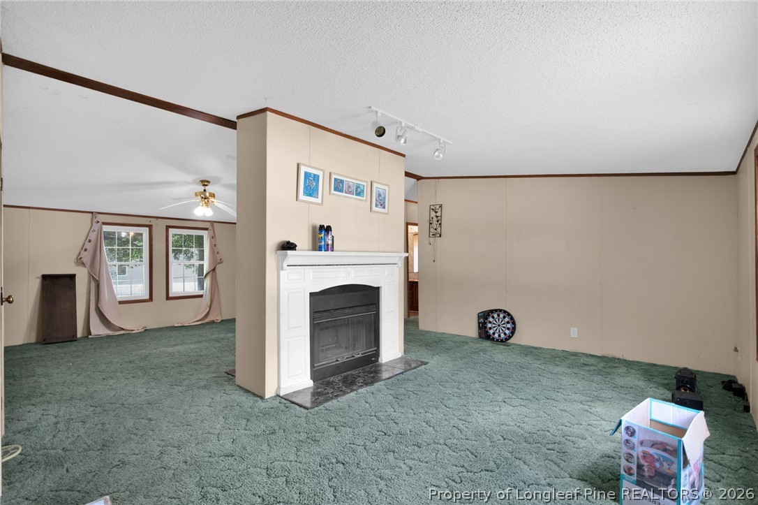 4705 Hickory Ridge Road Parkton, NC 28371 - Photo 11 of 37 a view of a livingroom with furniture fireplace and a window