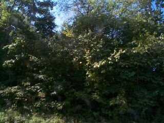 Jones Road Karns City, PA 16041 - Photo 4 of 5 Other.