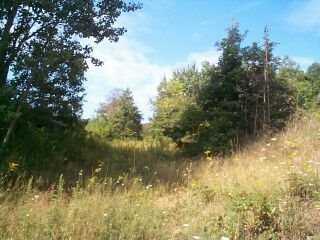Jones Road Karns City, PA 16041 - Photo 5 of 5 Other.