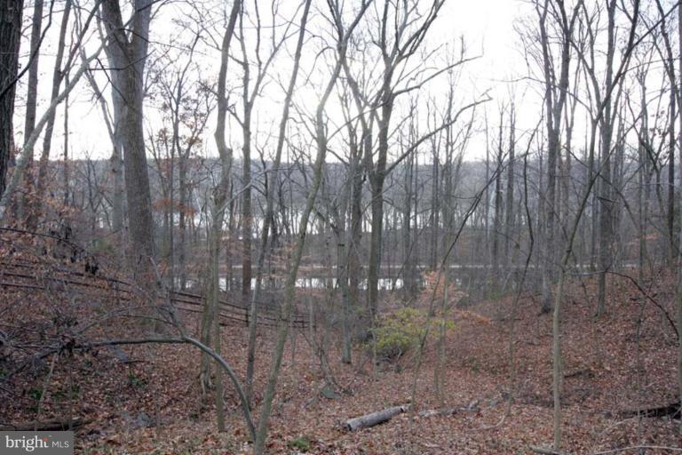 12002 River Road Potomac, MD 20854 - Photo 28 of 30 River View