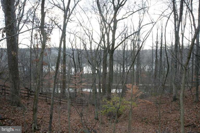 12002 River Road Potomac, MD 20854 - Photo 29 of 30 River Views