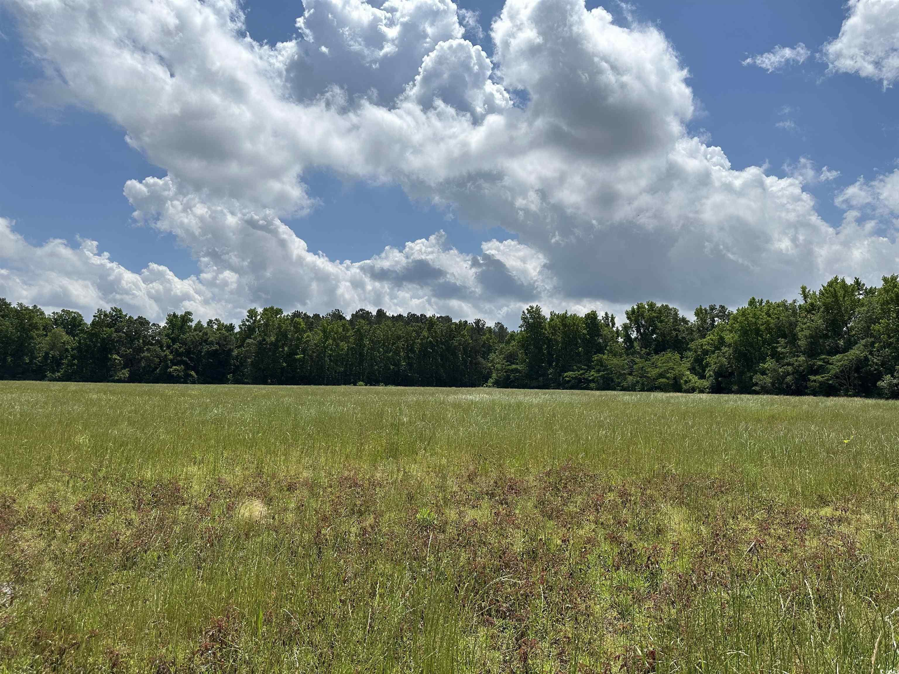 Tbd Tbd Mary Road Salters, SC 29590 - Photo 2 of 6 Gallery Image 2