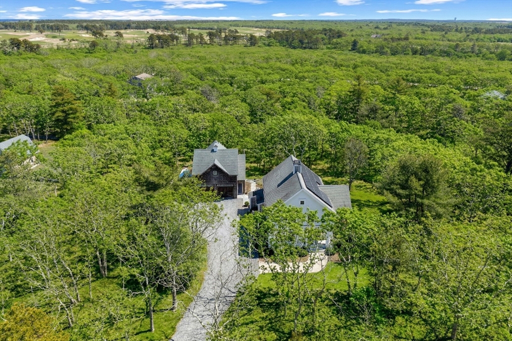 25 Bold Meadow Road Edgartown, MA 02539 - Photo 39 of 40 a view of a lush green forest