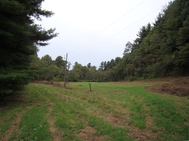 Tbd Frog Spur Road, Unit 11 2 Fancy Gap, VA 24328 - Photo 1 of 1 Gallery Image 1