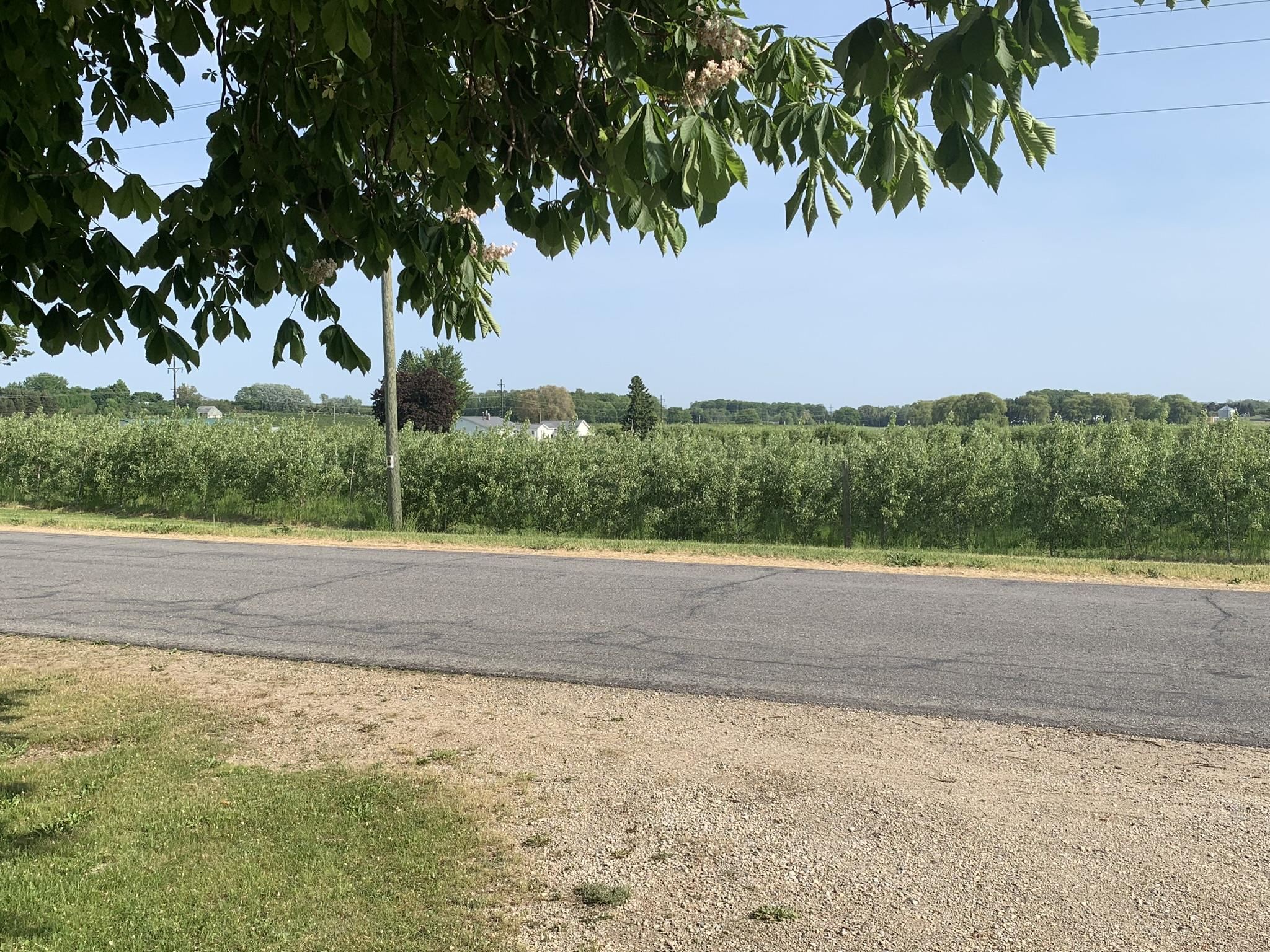 13588 Winters Road Kewadin, MI 49648 - Photo 24 of 27 1911762-23.JPG