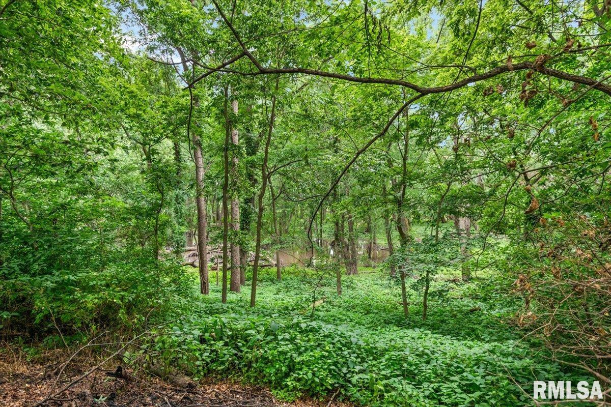 49 Woodland Trail Rochester, IL 62563 - Photo 89 of 98