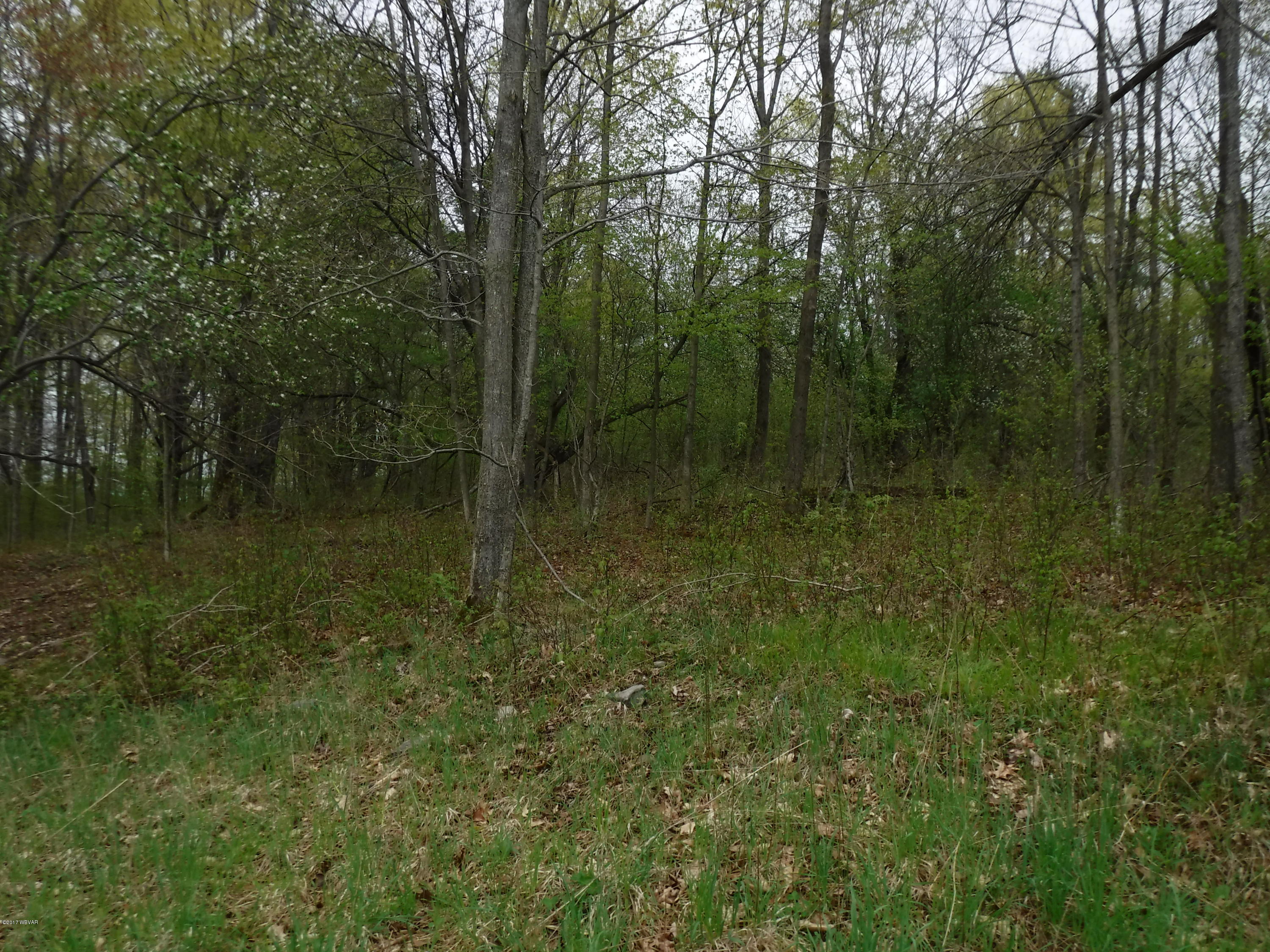 0 Beebe Road New Albany, PA 18833 - Photo 23 of 27 DSCF0185