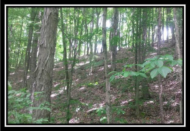 6381 West Bailey Road Nelsonville, OH 45764 - Photo 3 of 8