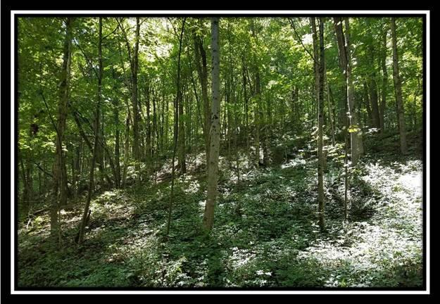 6381 West Bailey Road Nelsonville, OH 45764 - Photo 5 of 8