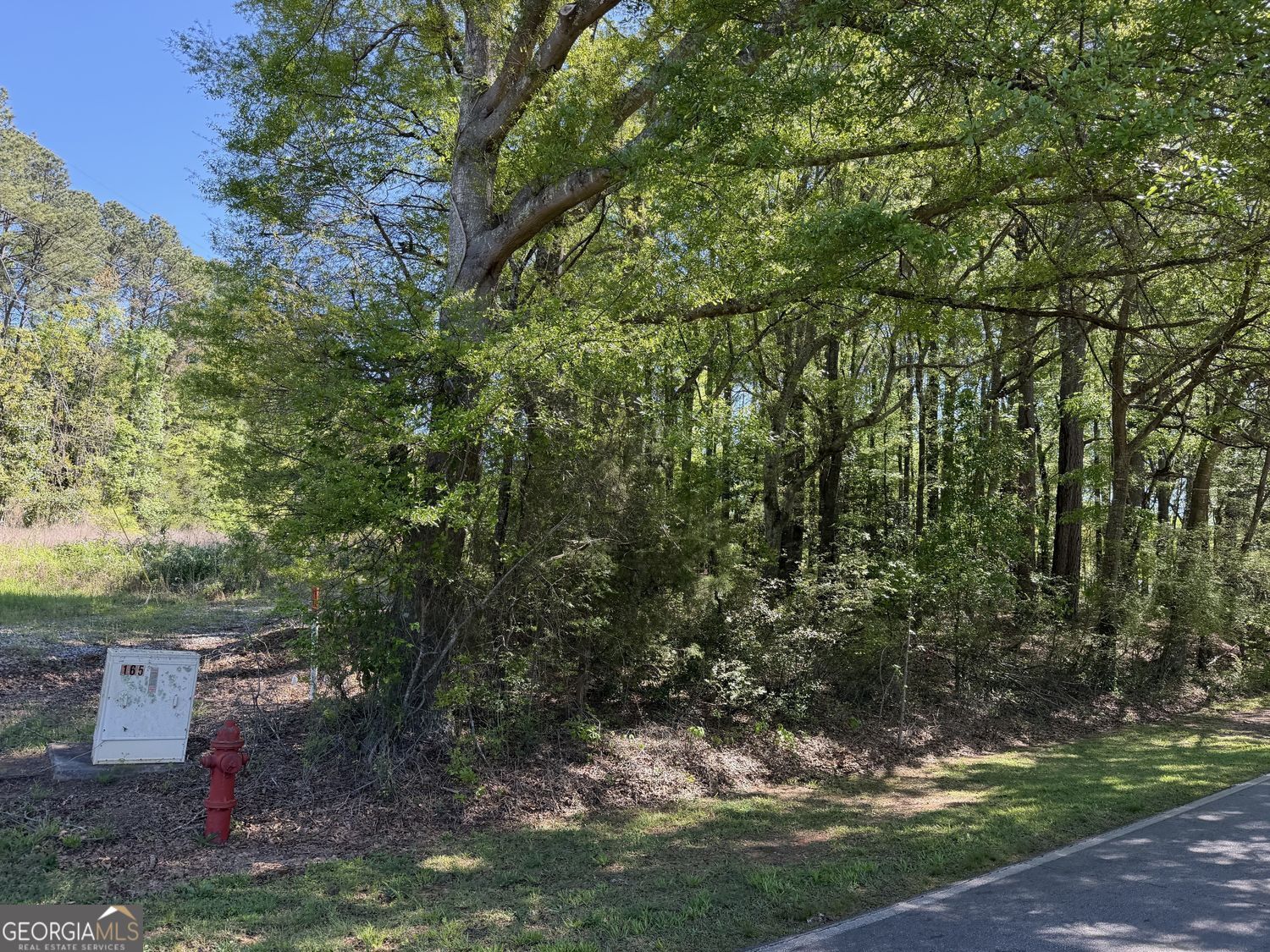 1.47-acres Roberts Quarters Road Concord, GA 30206 - Photo 4 of 5