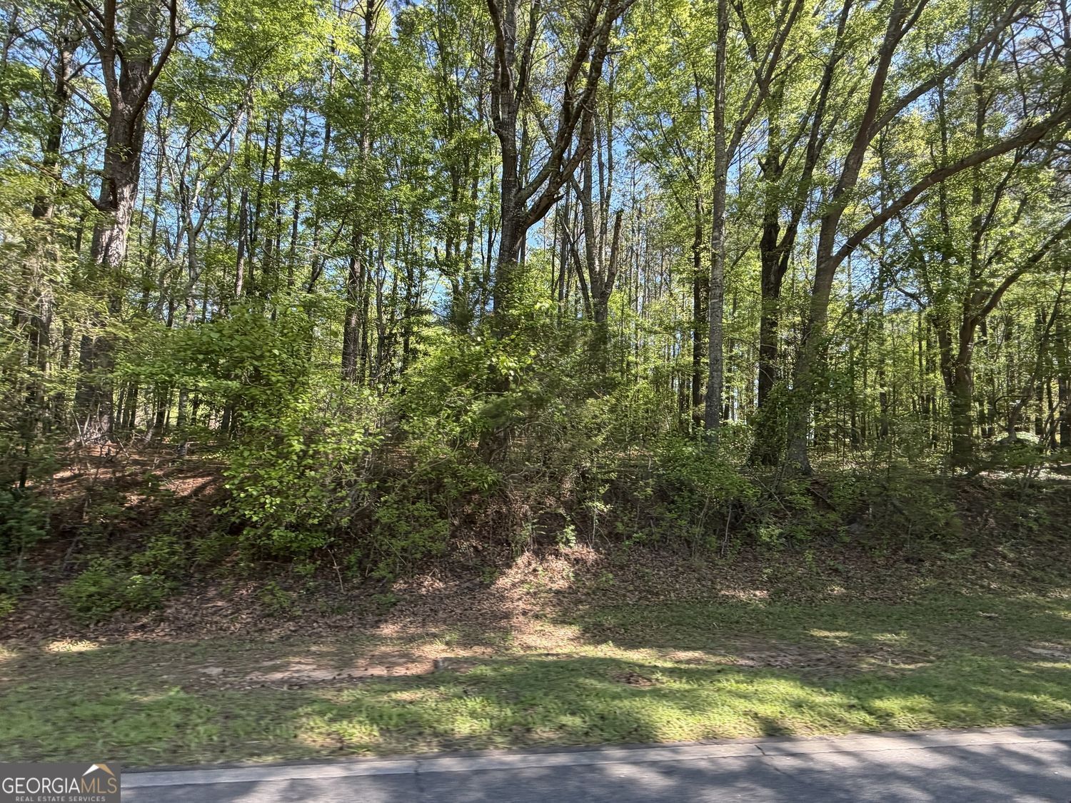1.47-acres Roberts Quarters Road Concord, GA 30206 - Photo 5 of 5