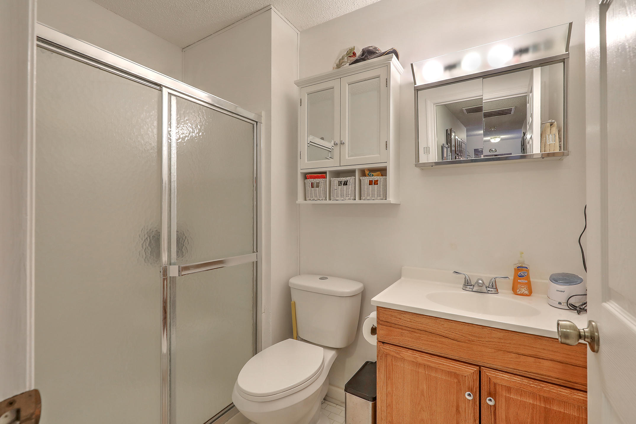 212 Whitesville Road Moncks Corner, SC 29461 - Photo 21 of 31 Hall Bathroom
