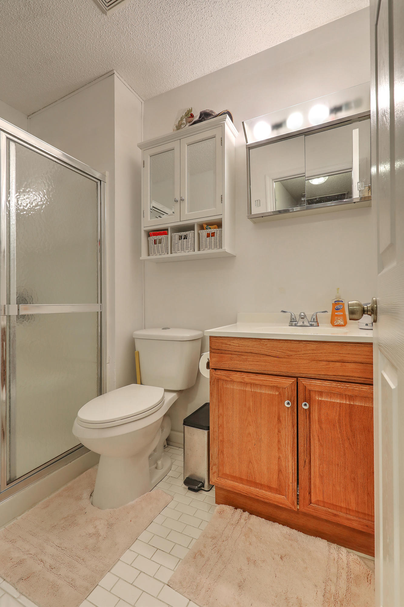 212 Whitesville Road Moncks Corner, SC 29461 - Photo 22 of 31 Hall Bathroom