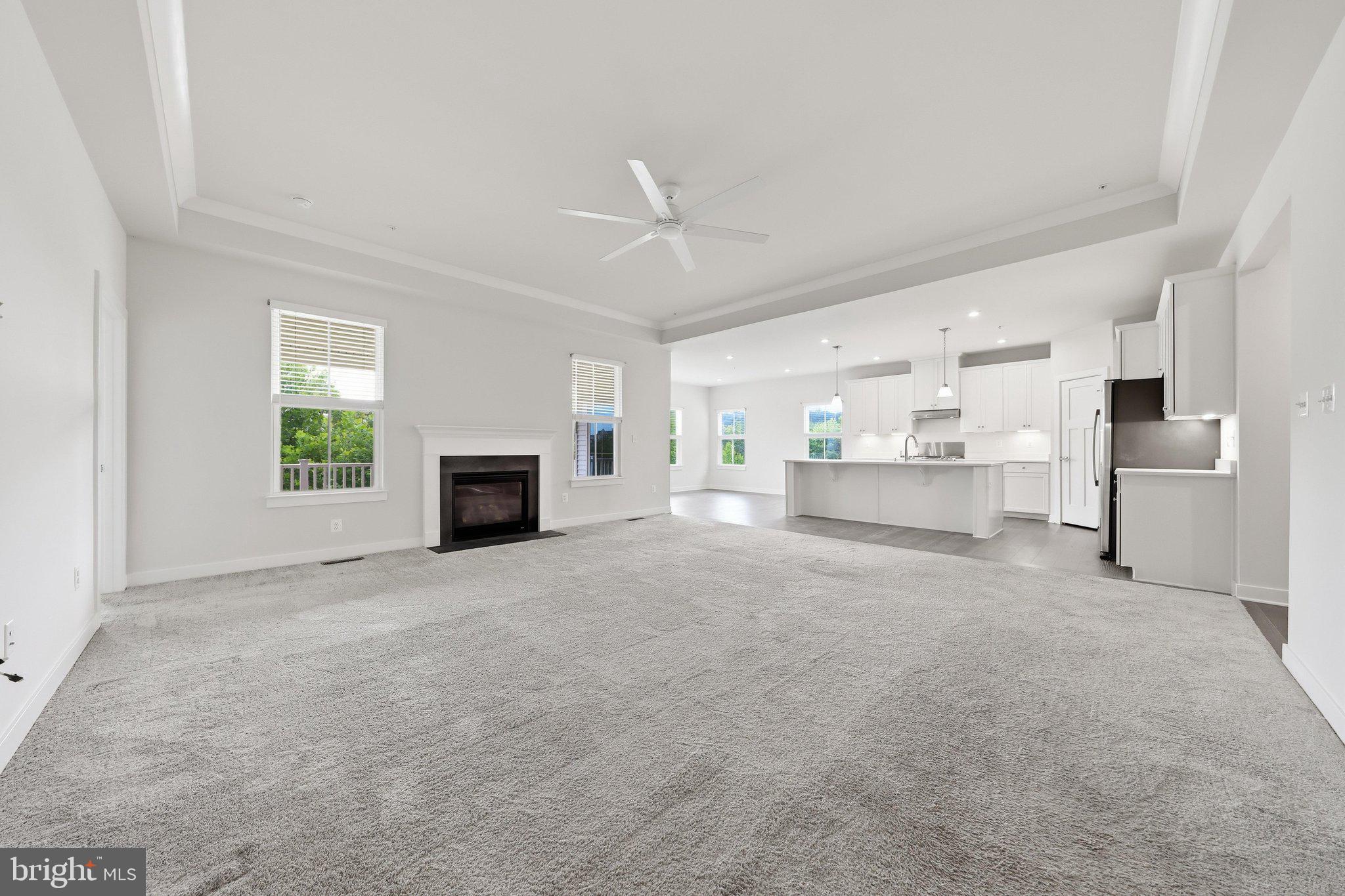 4720 Plum Road Monrovia, MD 21770 - Photo 14 of 63 Family Room