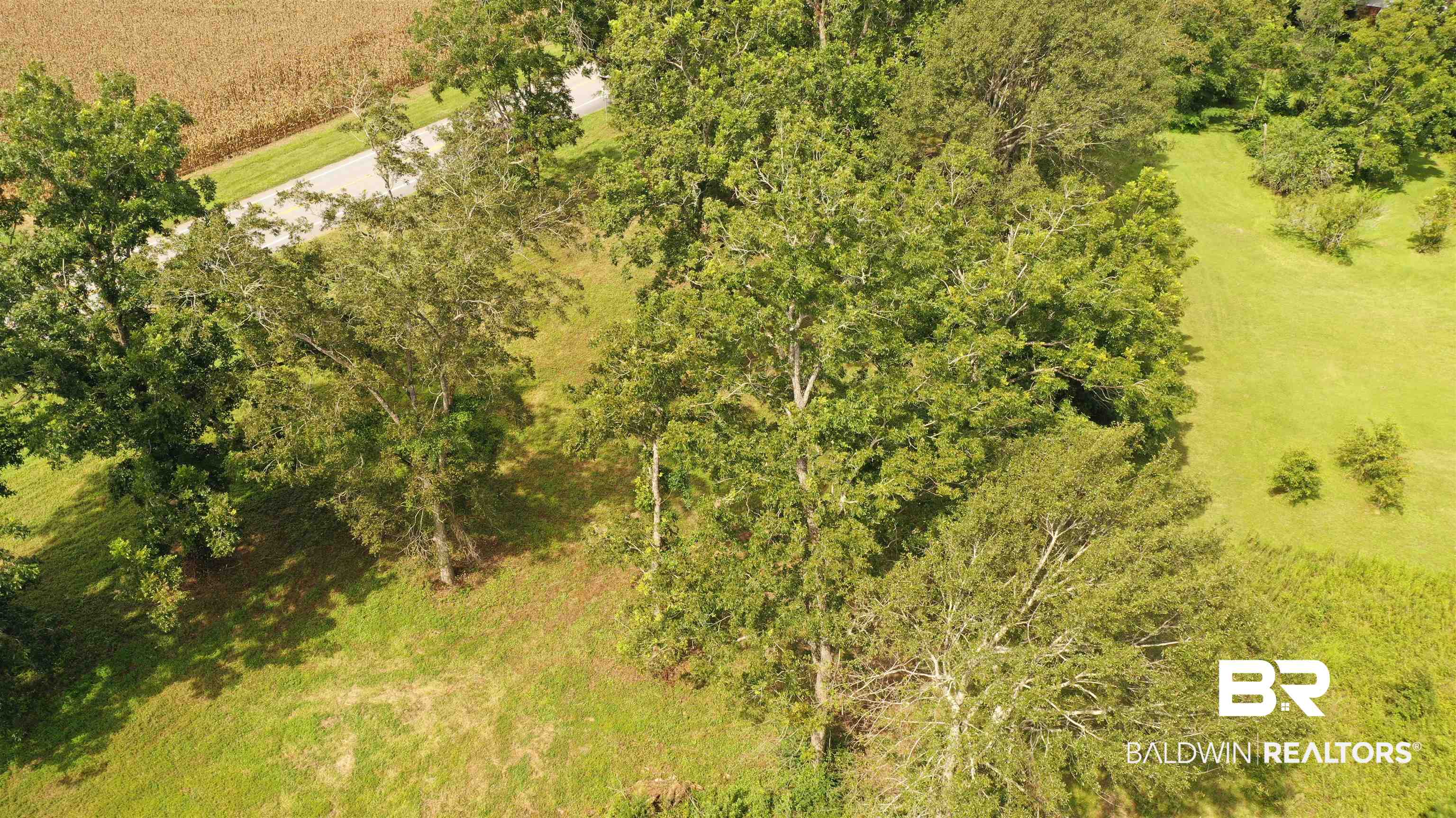 97 Walnuthill Walnut Hill, FL 32568 - Photo 10 of 36