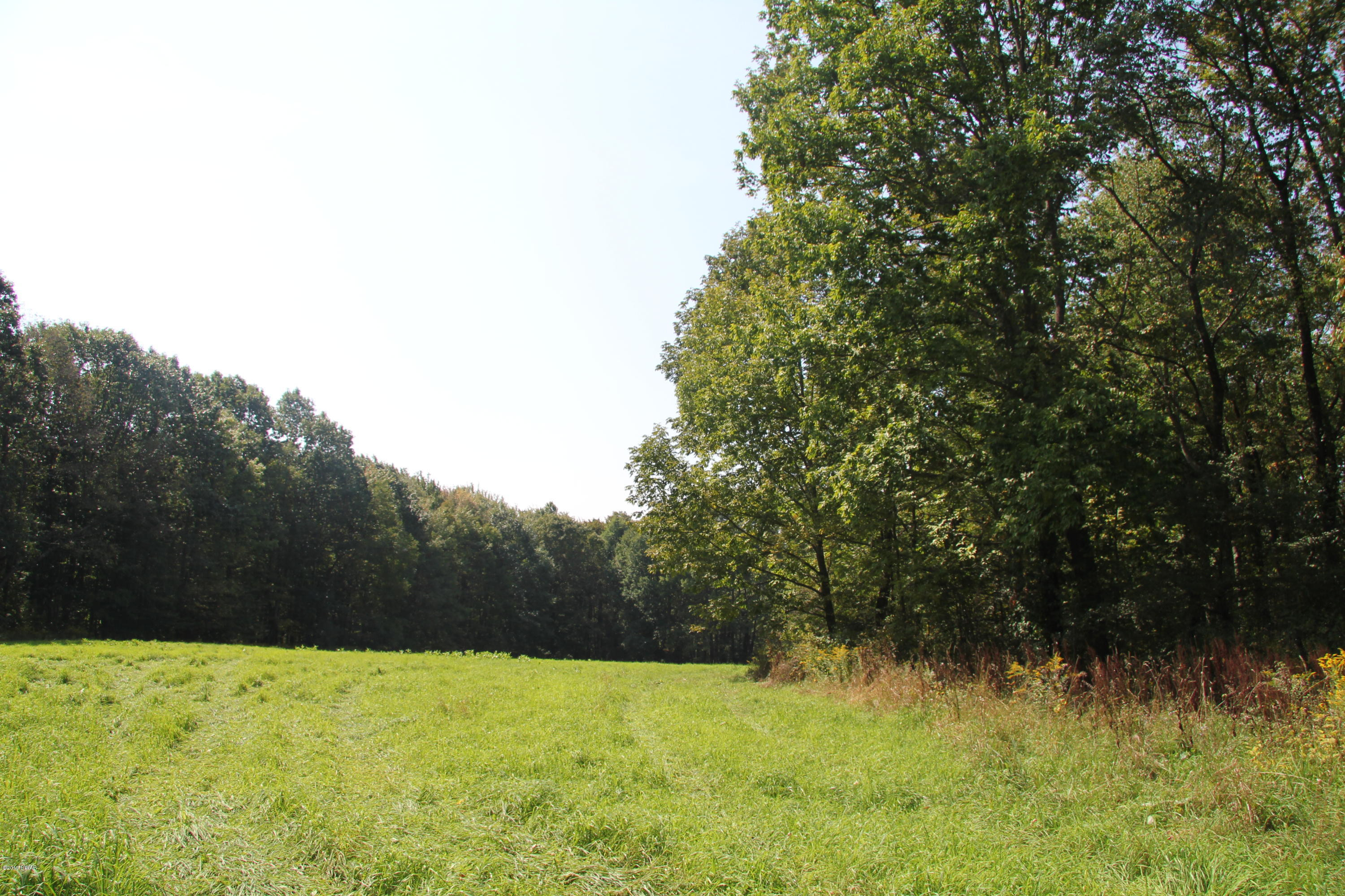 South Preston Road Lakewood, PA 18439 - Photo 10 of 16