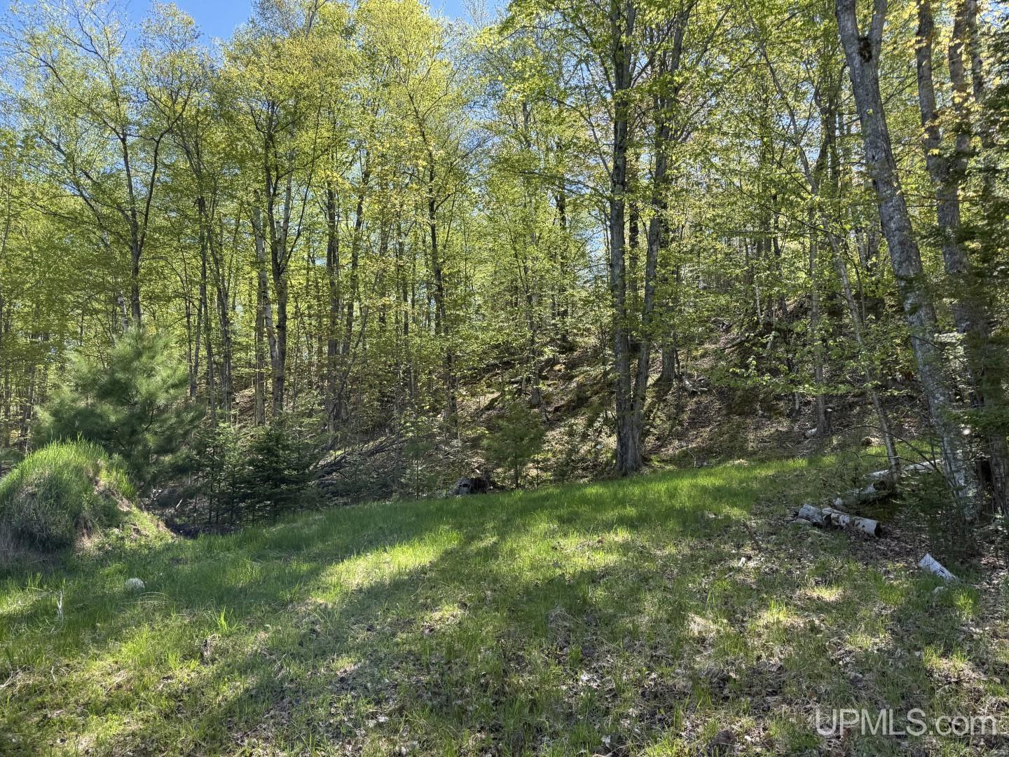 13530 Waisanen Road Lanse, MI 49946 - Photo 16 of 47