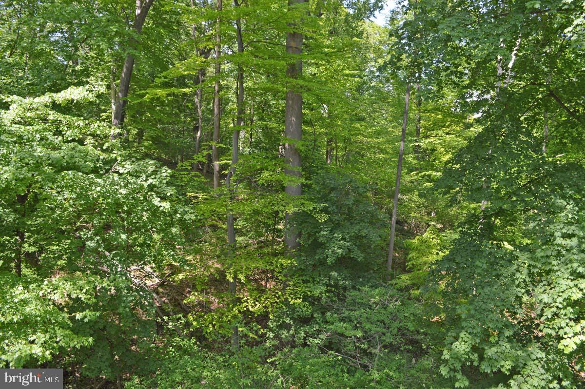 737 Hemlock Road Media, PA 19063 - Photo 37 of 38 View