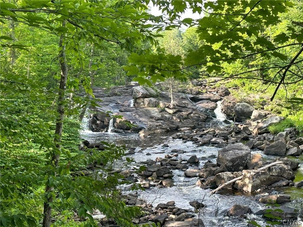 185 Dairy Hill Road Salisbury, NY 13365 - Photo 48 of 50