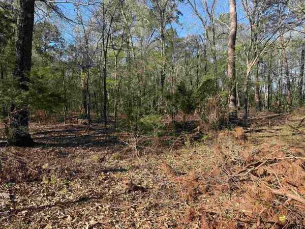 a view of outdoor space with trees