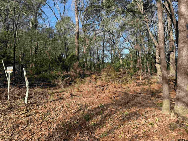 a view of backyard with green space