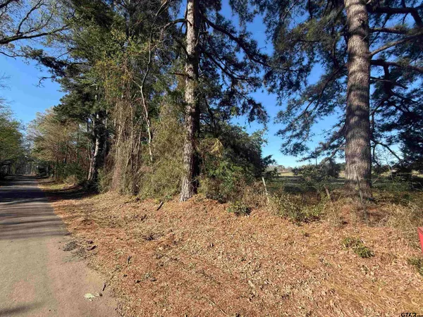 a view of a yard with trees