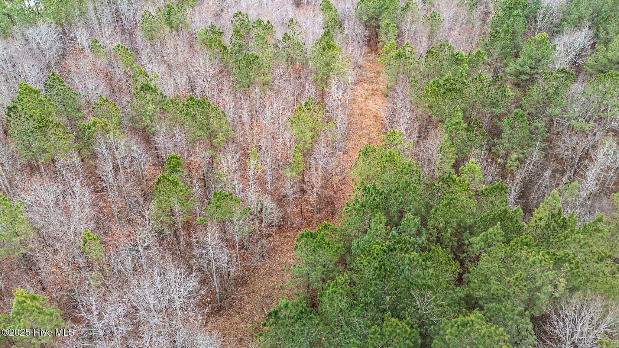 1648 Harrison Road Nashville, NC 27856 - Photo 11 of 15 10-web-or-mls-DJI_20251229112305_0467_D