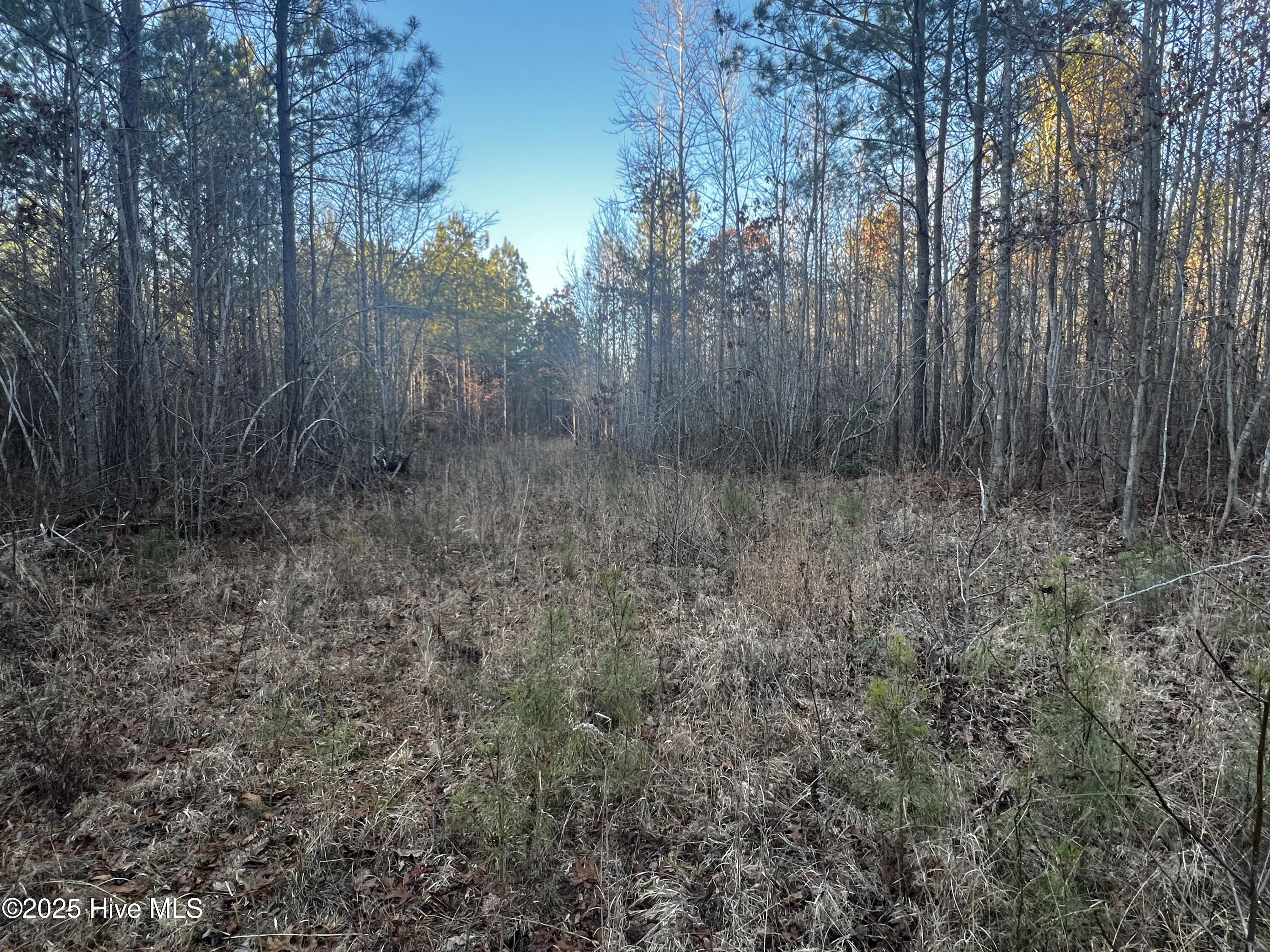 1648 Harrison Road Nashville, NC 27856 - Photo 3 of 15 IMG_5009