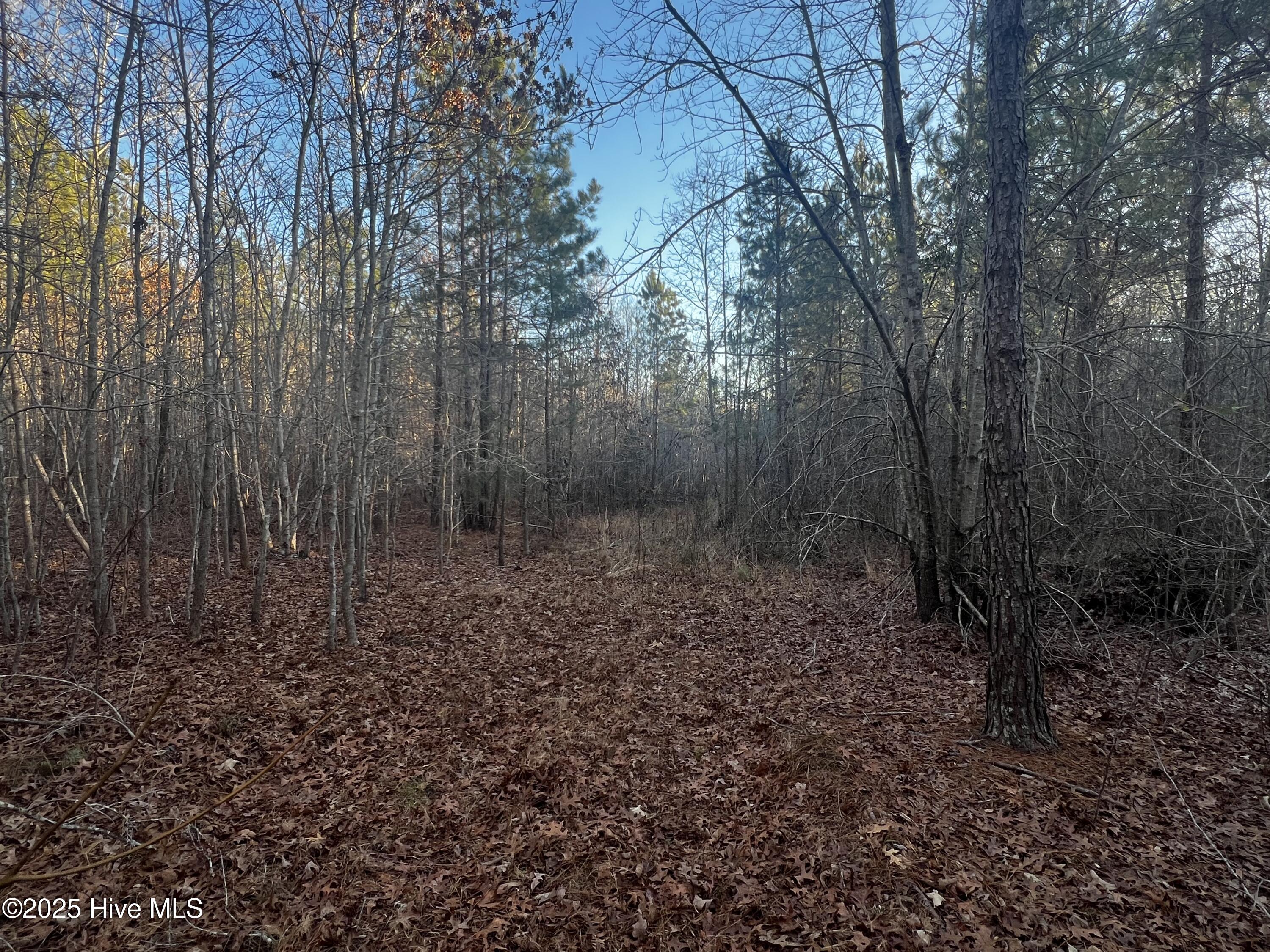 1648 Harrison Road Nashville, NC 27856 - Photo 4 of 15 IMG_5005