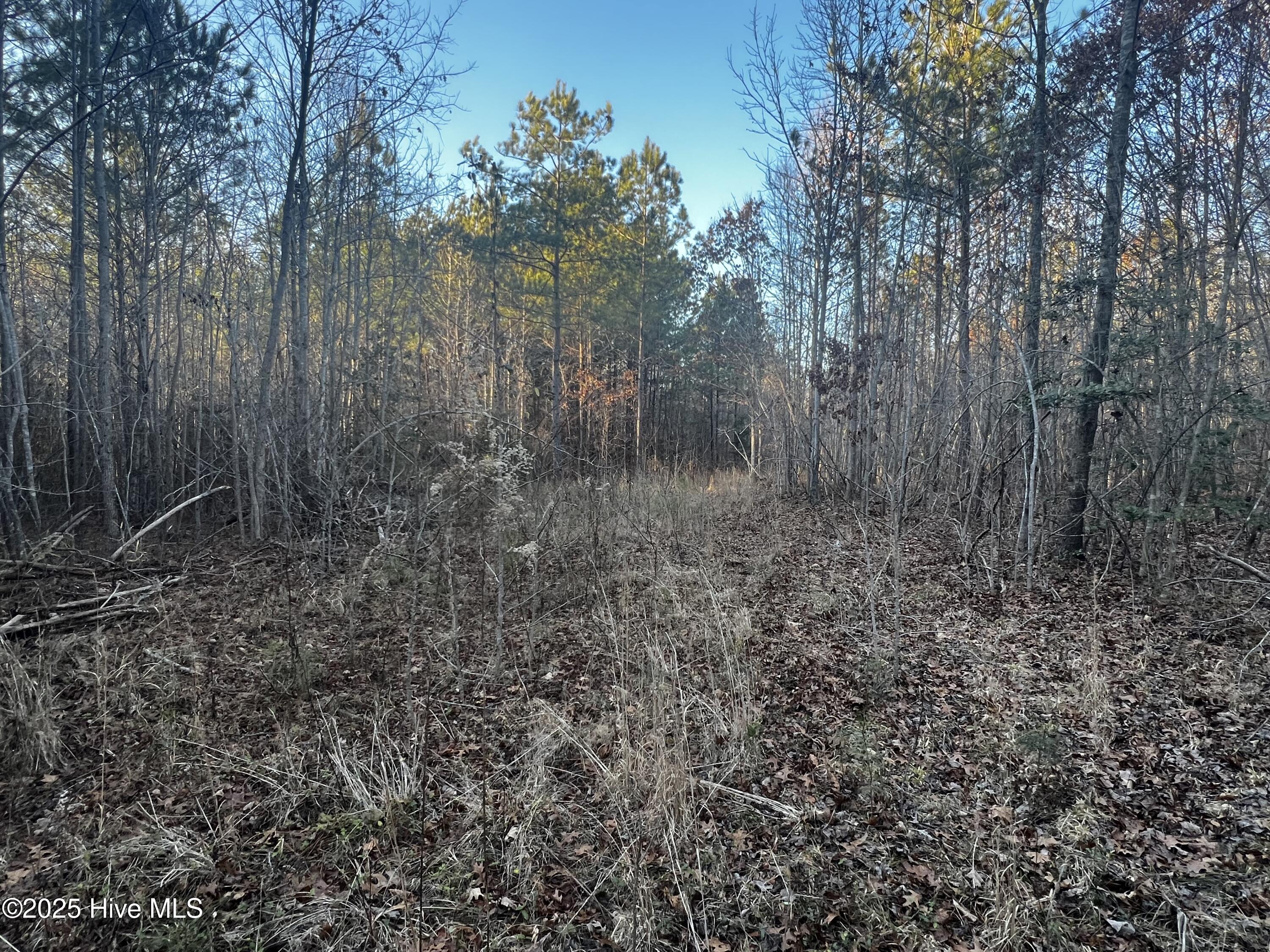 1648 Harrison Road Nashville, NC 27856 - Photo 5 of 15 IMG_5008