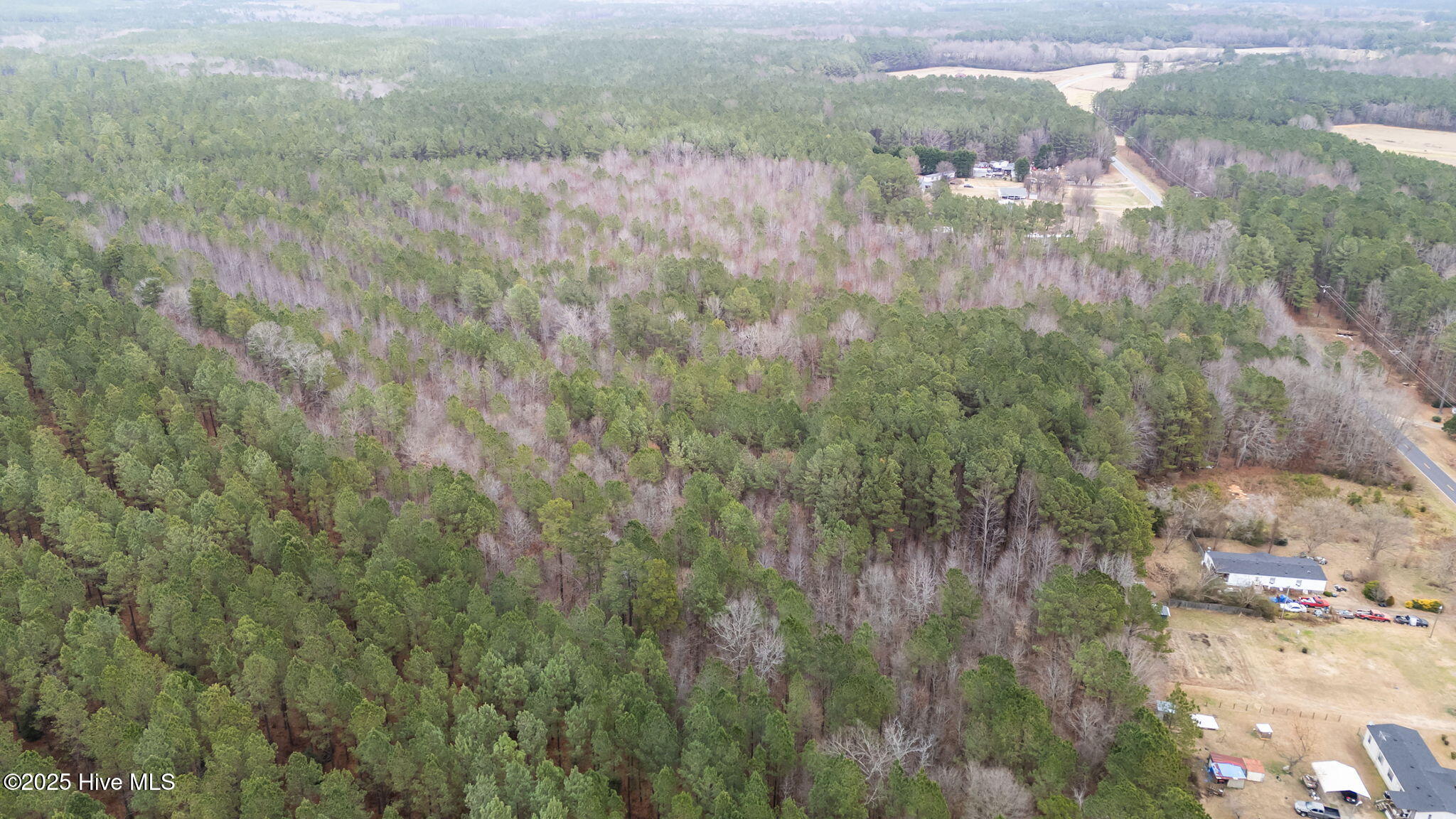 1648 Harrison Road Nashville, NC 27856 - Photo 6 of 15 4-web-or-mls-DJI_20251229111752_0461_D