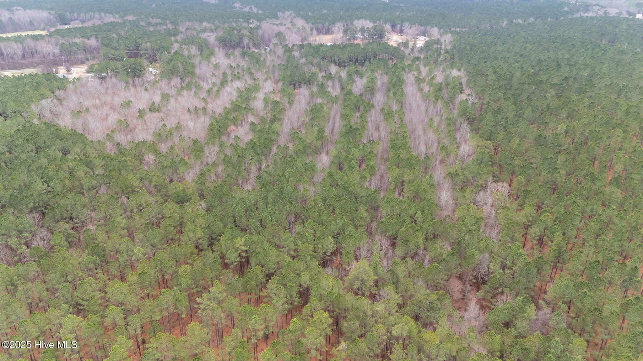 1648 Harrison Road Nashville, NC 27856 - Photo 7 of 15 5-web-or-mls-DJI_20251229111918_0462_D