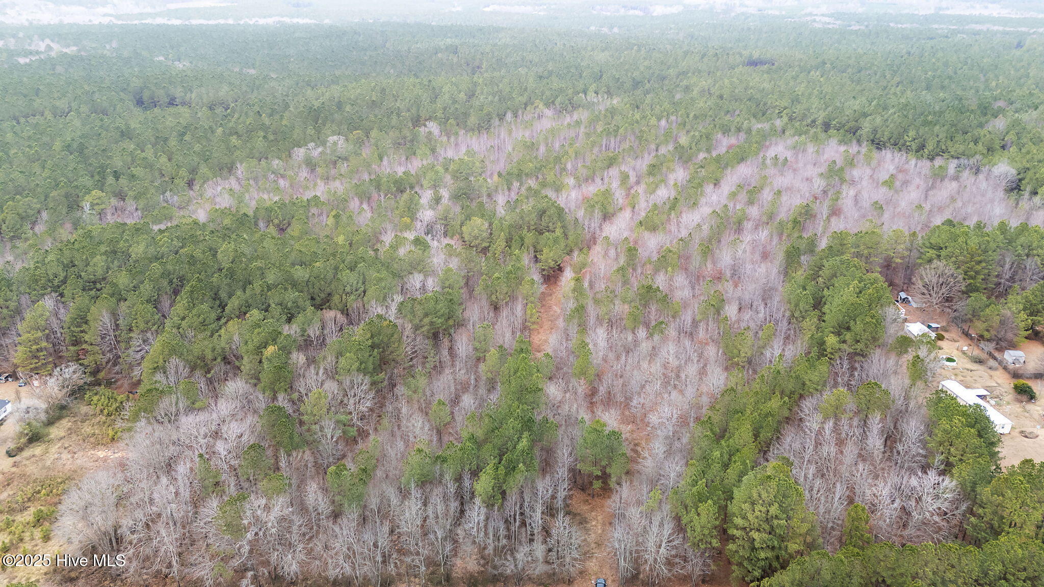 1648 Harrison Road Nashville, NC 27856 - Photo 9 of 15 8-web-or-mls-DJI_20251229112134_0465_D