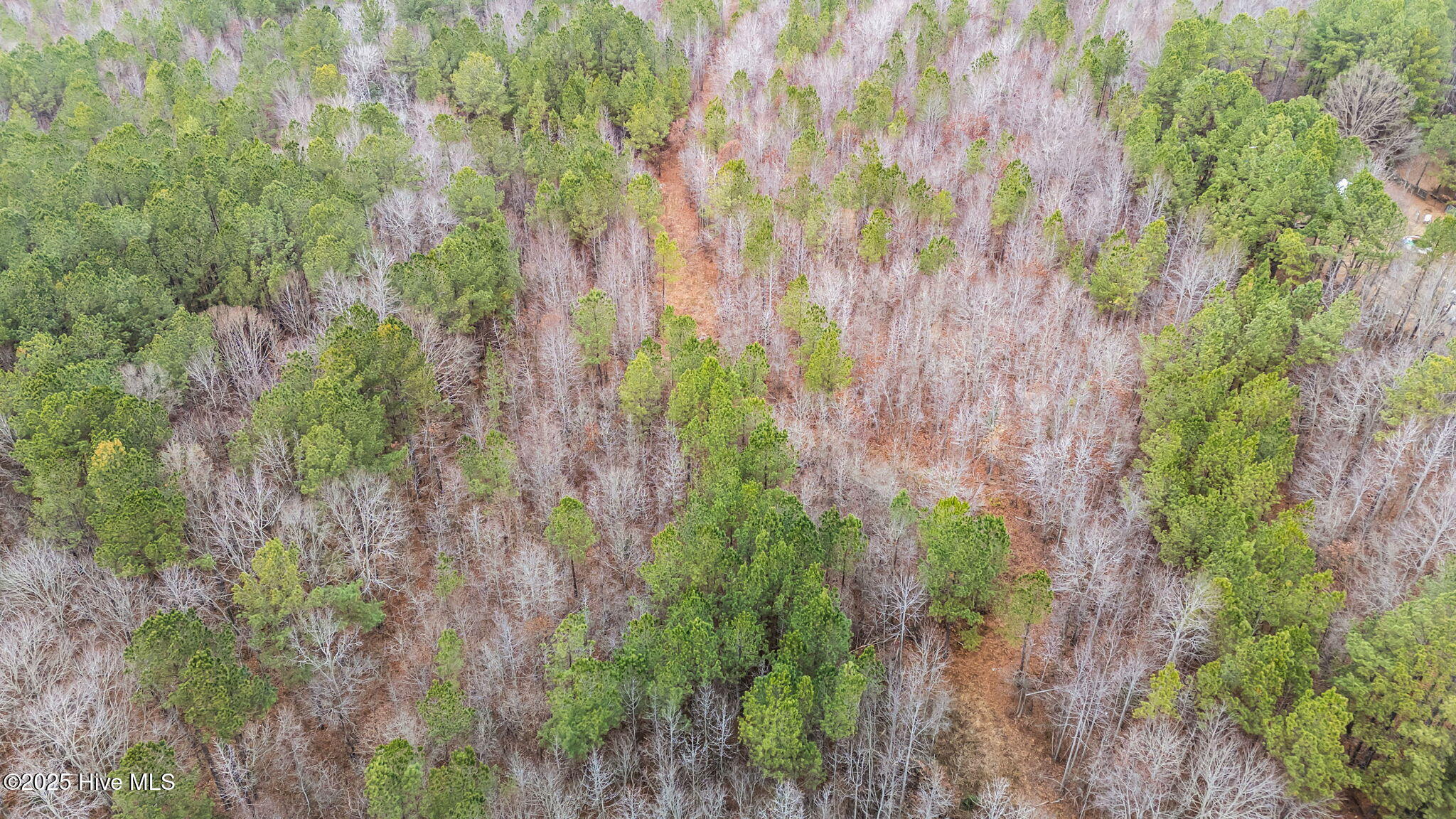 1648 Harrison Road Nashville, NC 27856 - Photo 10 of 15 9-web-or-mls-DJI_20251229112157_0466_D