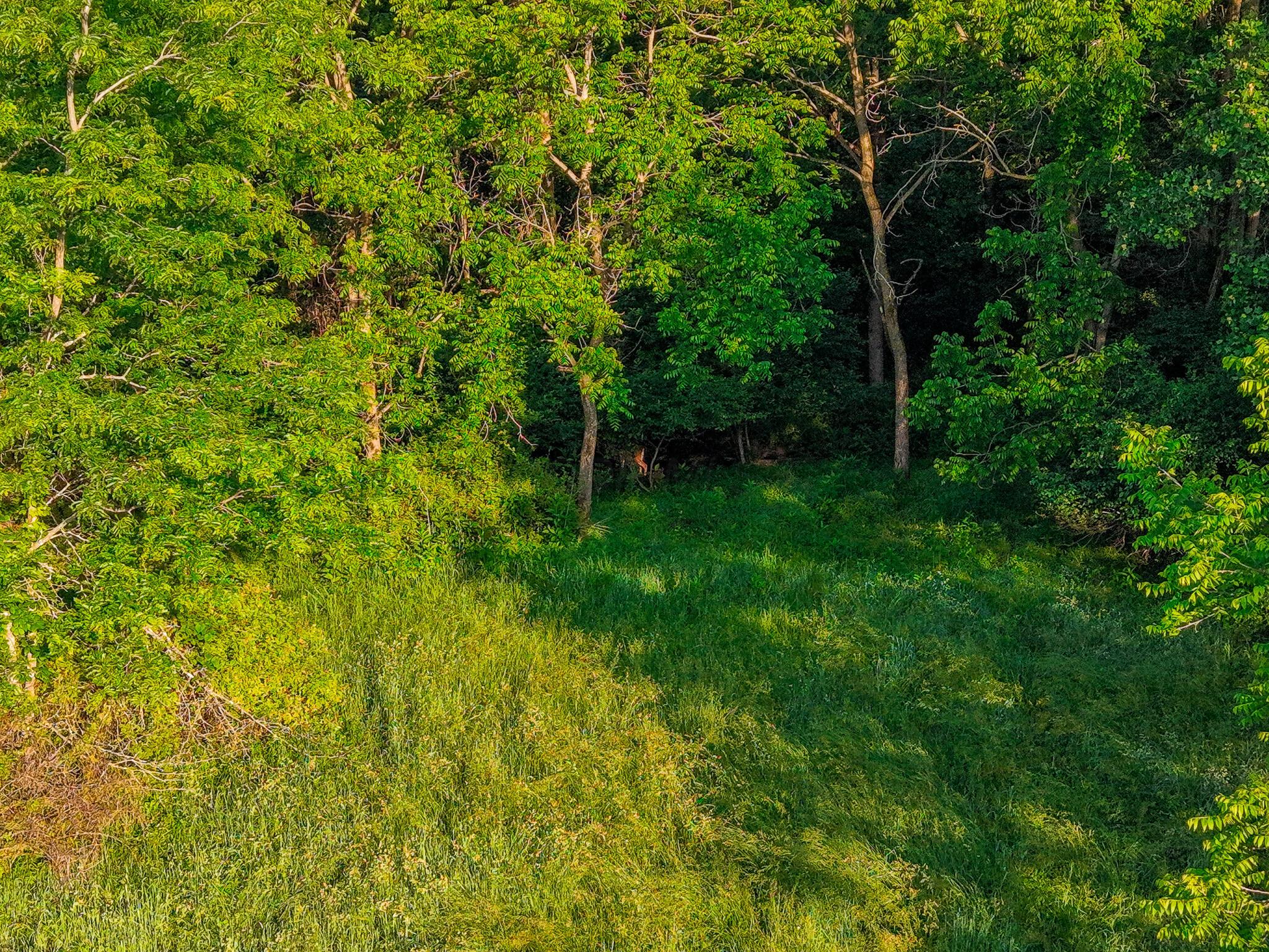 12680 Old Riley Road Frazeysburg, OH 43822 - Photo 67 of 95