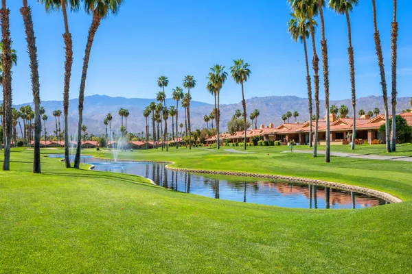 a view of a park with palm trees