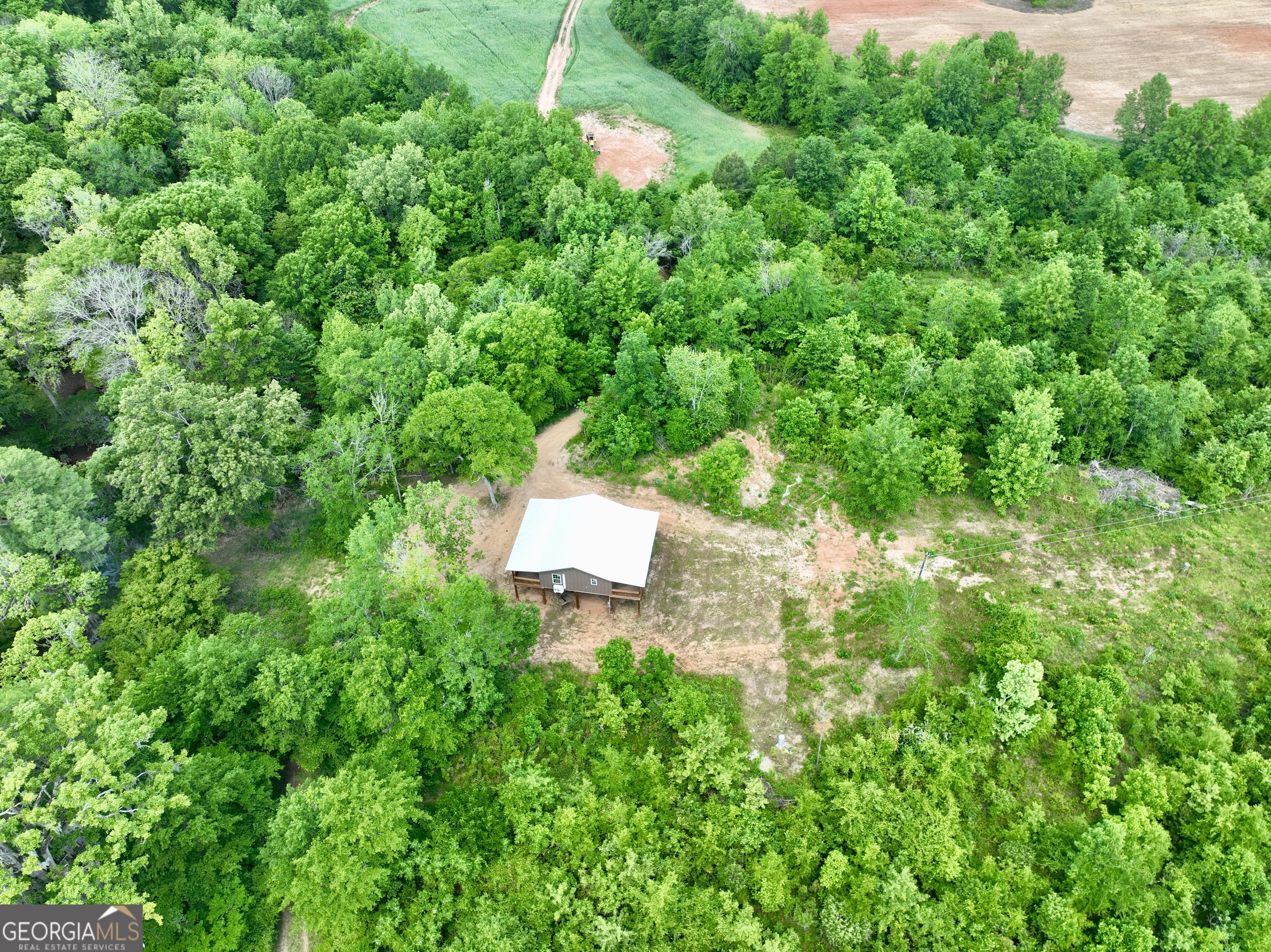 89 Griffin Road Hawkinsville, GA 31036 - Photo 12 of 48 a backyard of a house with lots of green space and a fountain