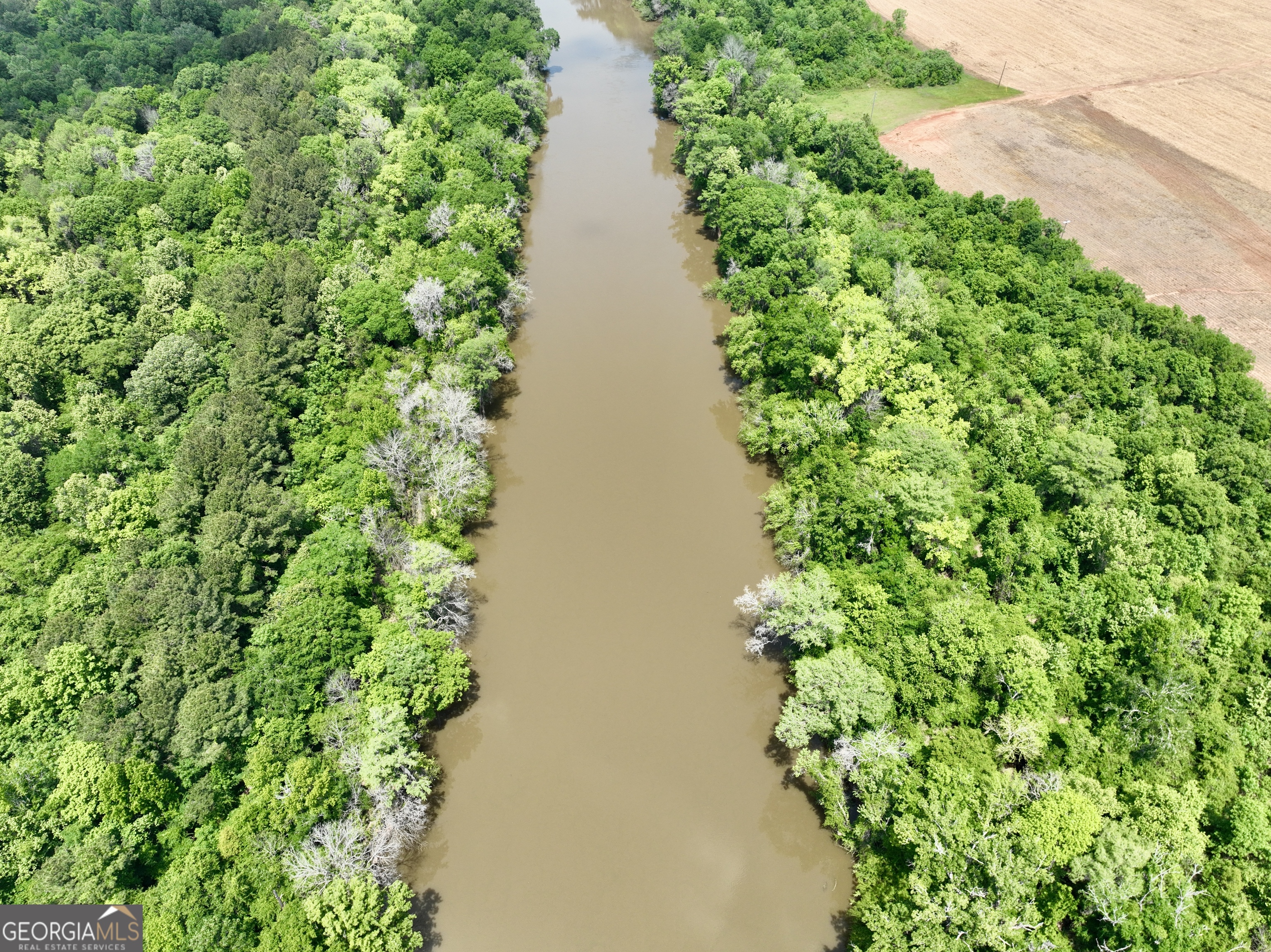 89 Griffin Road Hawkinsville, GA 31036 - Photo 17 of 48 a view of a garden with plants