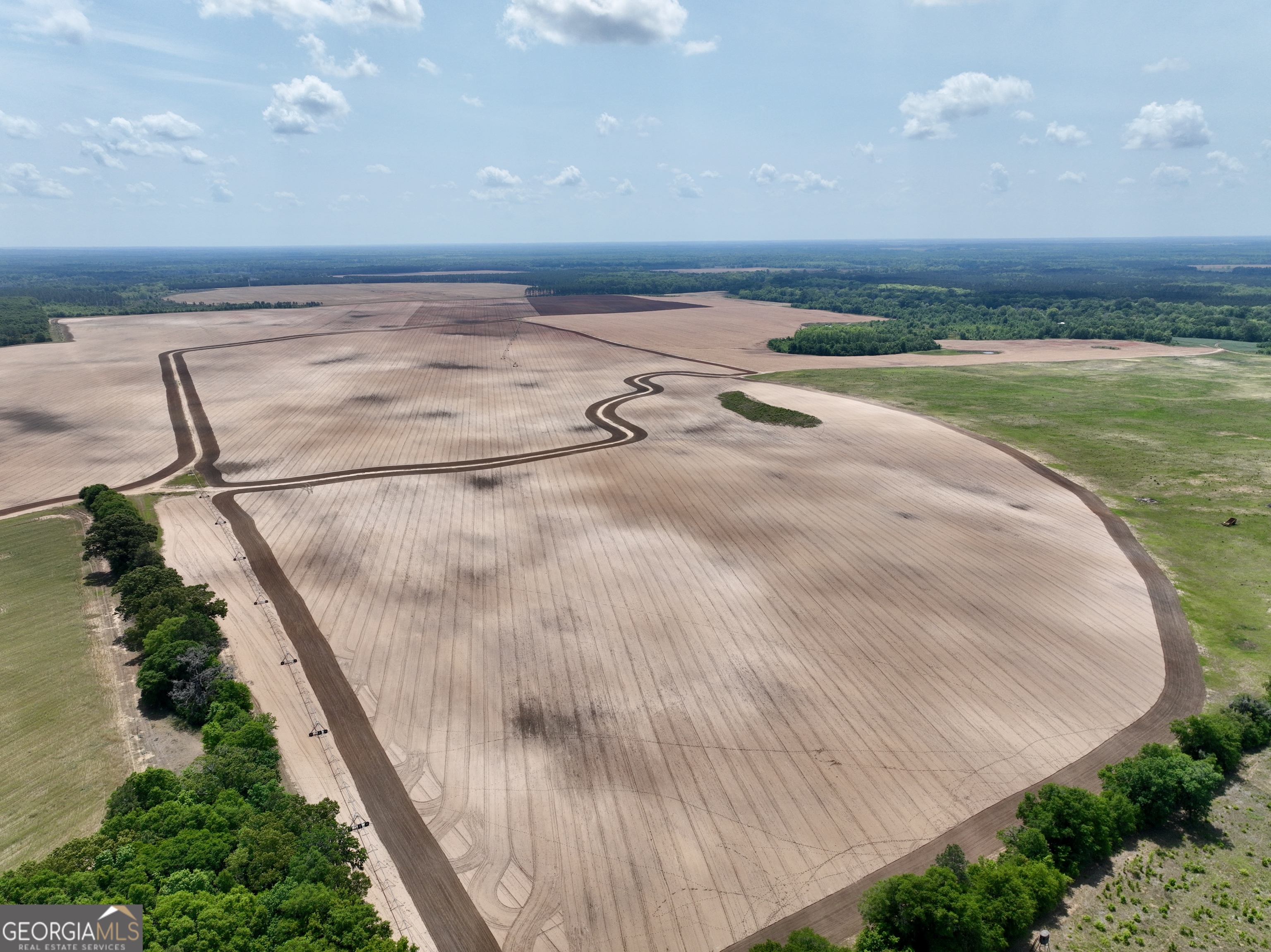 89 Griffin Road Hawkinsville, GA 31036 - Photo 31 of 48